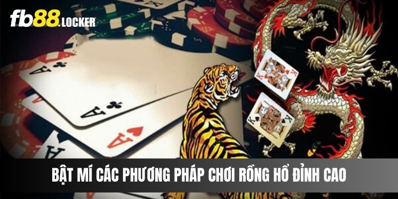 Bật mí các phương pháp chơi rồng hổ đỉnh cao