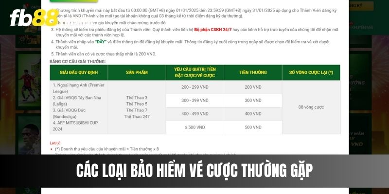 Các loại bảo hiểm vé cược thường gặp