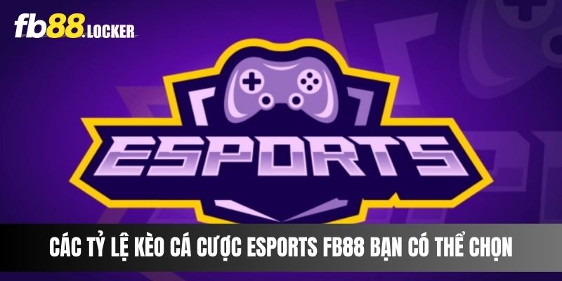 Các tỷ lệ kèo cá cược Esports Fb88 bạn có thể chọn