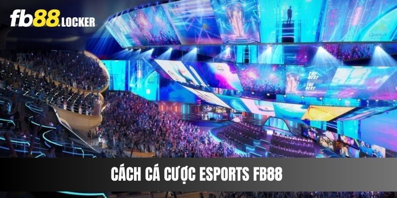 Cách cá cược Esports Fb88 