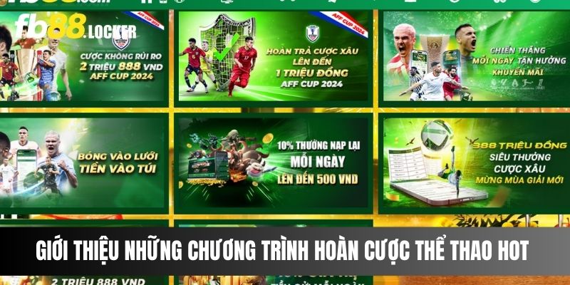 Giới thiệu những chương trình hoàn cược thể thao hot 2025