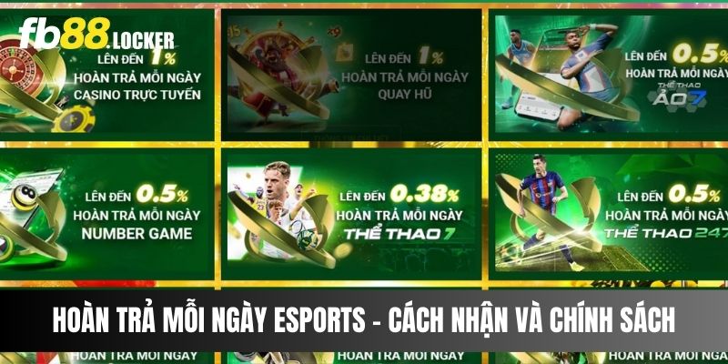 Hoàn Trả Mỗi Ngày Esports – Cách Nhận Và Chính Sách