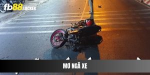 Mơ Ngã Xe Đánh Số Gì – Giải Mã Để Có Con Số Tài Lộc