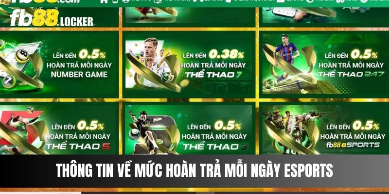 Thông tin về mức hoàn trả mỗi ngày Esports